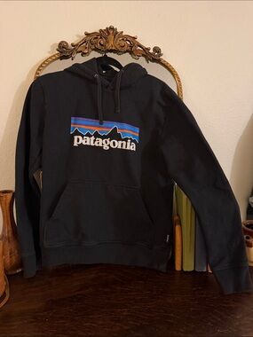 Patagonia Black Hoodie with Blue and Purple Logo
